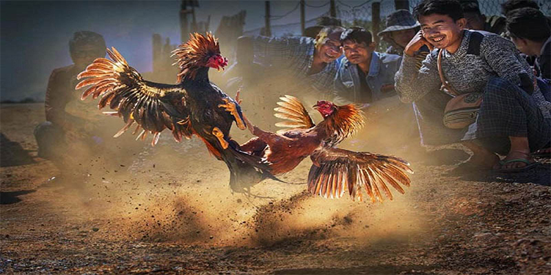 789win7 chơi bắn cá đổi thưởng