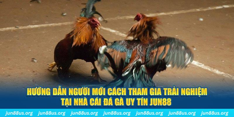 789win7 CQ9 Điện Tử