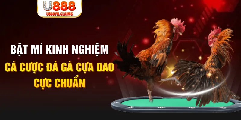 tỷ lệ cá cược châu á là gì