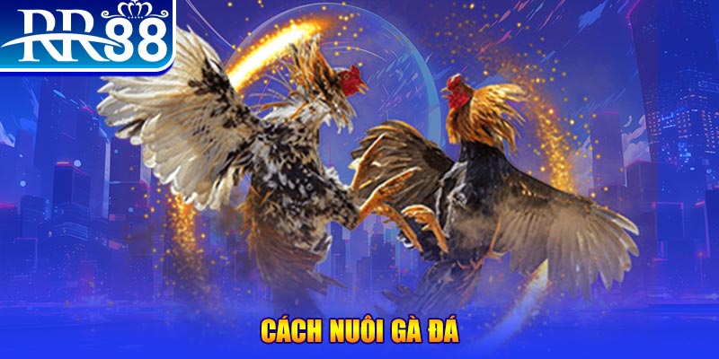 789win7 xổ số an giang