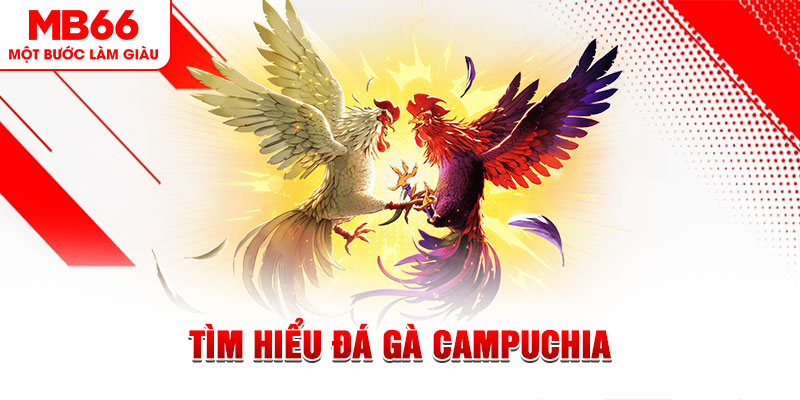 789win7 đá gà trực tiếp