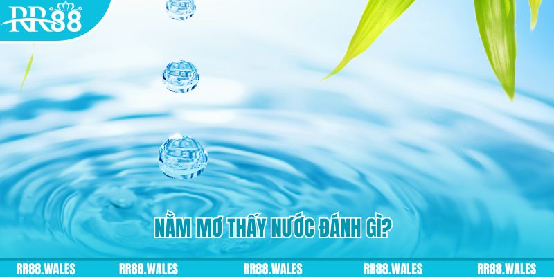 789win7 TP Bắn cá