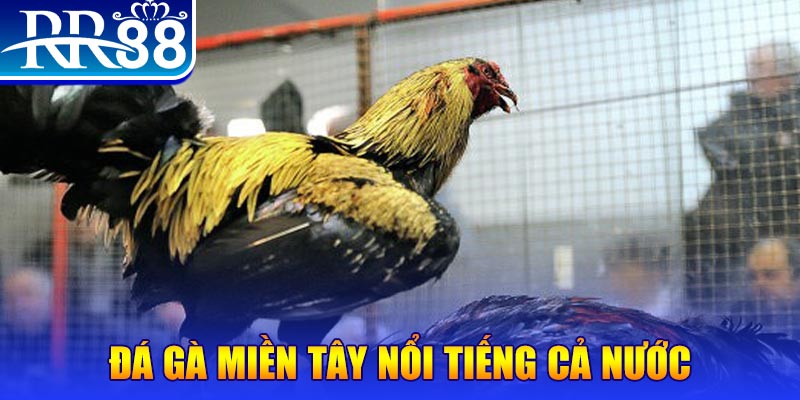 789win7 JILI Game Bài 3d