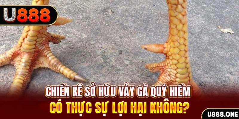 789win7 nohu .mx nổ hủ là gì