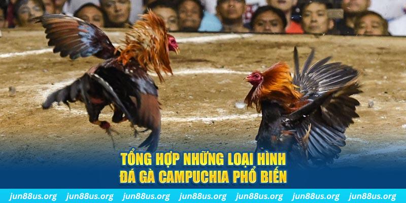 789win7 đăng nhập nổ hũ 2024
