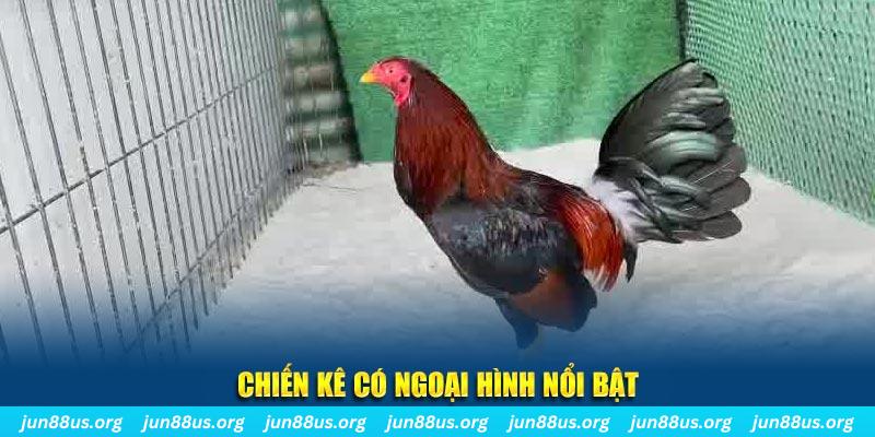 789win7 chạy quảng cáo cho game bài bị phạt như thế nào