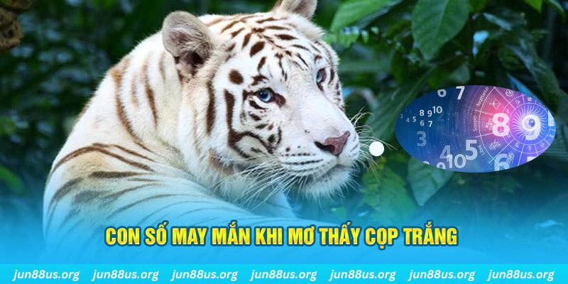 789win7 đá gà trực tiếp 88